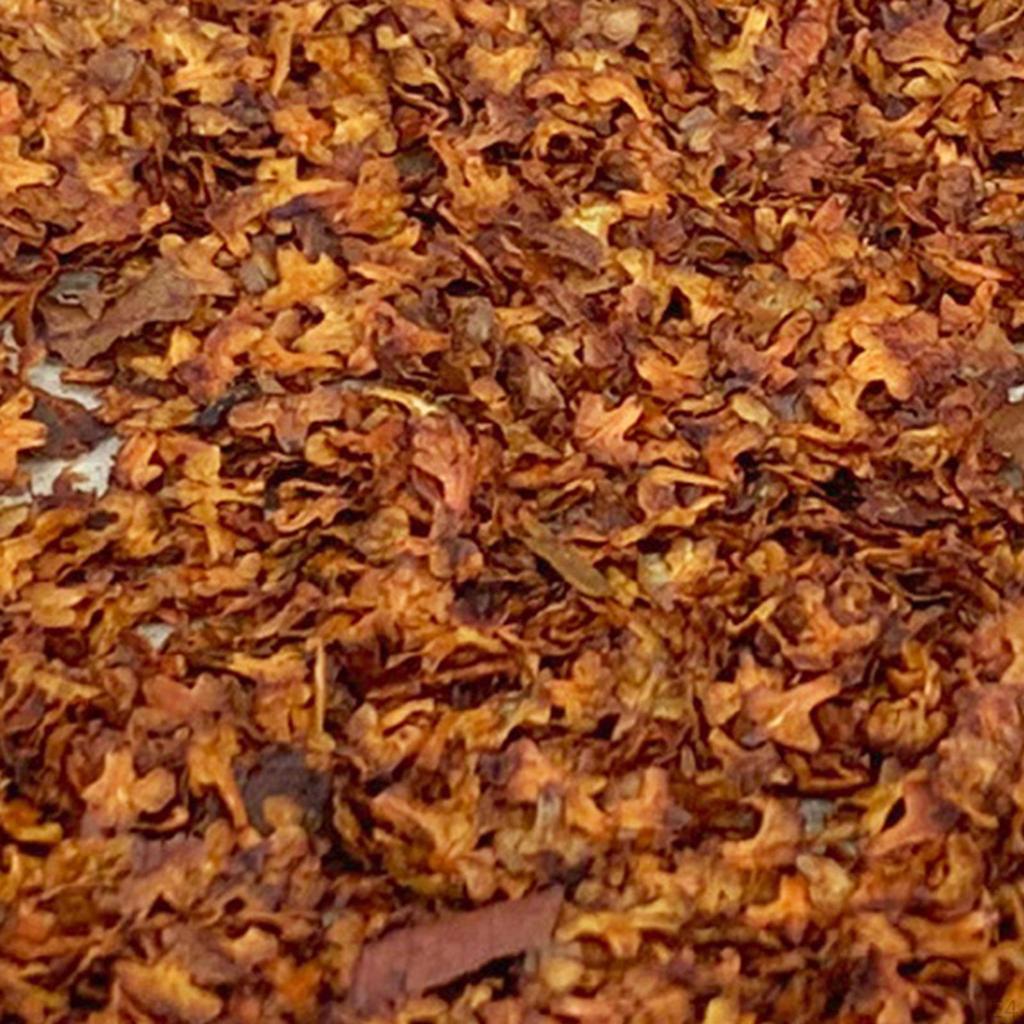 Micro Landscape Leaves, Diorama Resin Models Scenery for Model Railroad Fairy Bonsai