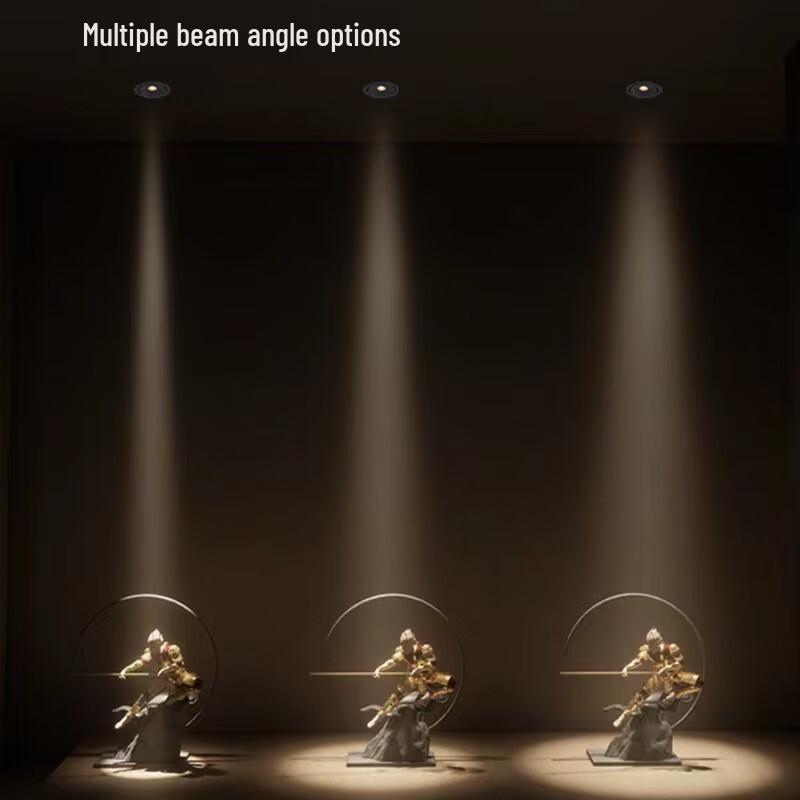 Xuan Yong Black Recessed LED Spotlight