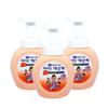 Moisturizing Peach Scent Hand Wash 250ml X 3