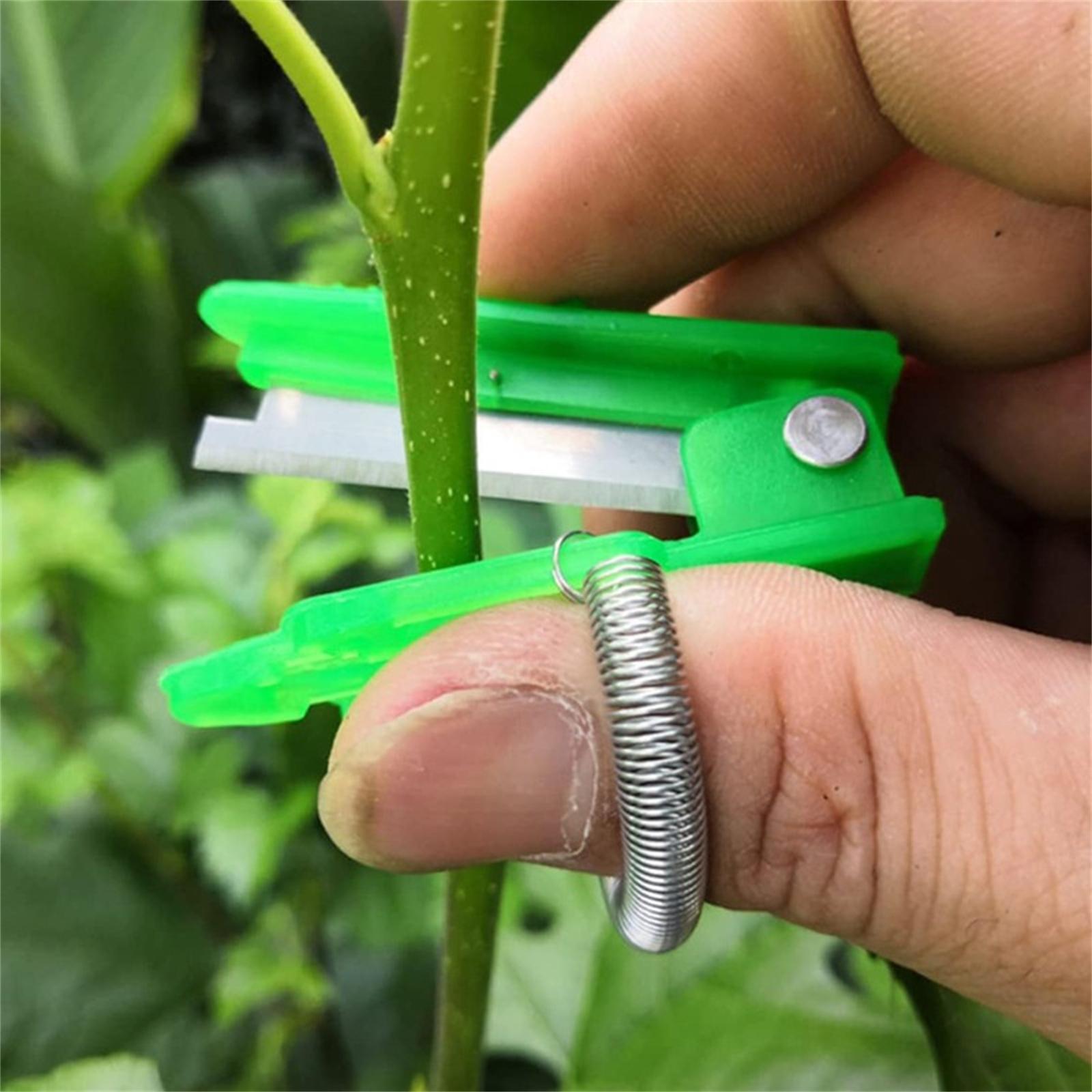 

Нож для большого пальца, садовый инструмент, ножницы для сбора растений и фруктов, портативный маленький нож, ножницы для обрезки овощей и растений для легкой уборки урожая One Size зелёный