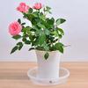 Balcony Flower Pot Trays Base Saucer Transparent Tray