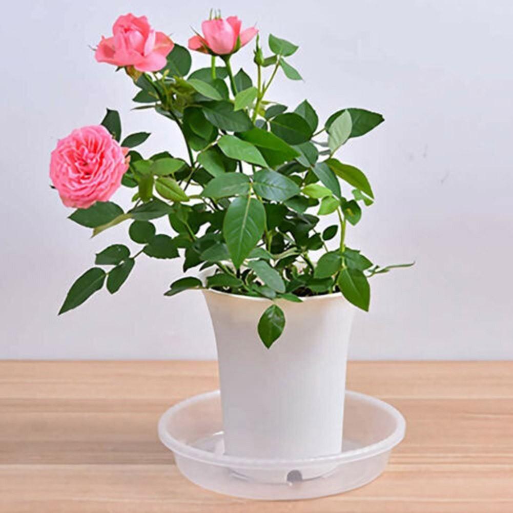 Balcony Flower Pot Trays Base Saucer Transparent Tray