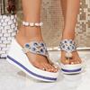 Große Mode-Keilabsatz-Sandalen mit Plateau für Damen, Neue Style Plateau-Slipper mit dicker Sohle, Sommer-Strandsandalen