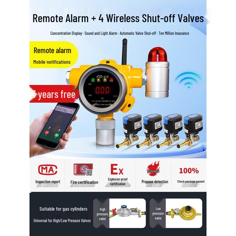 MDNG Wireless Gas Leak Detector with Auto Shut-off Valve CN plug (adapter included) Wireless NB Mobile Notification