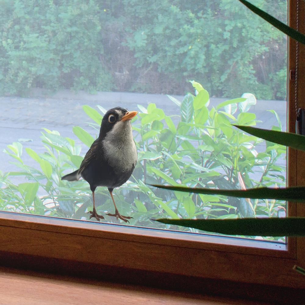 Kreative Simulation Amsel Wohnzimmer Esszimmer Wanddekoration Verschönerungsaufkleber