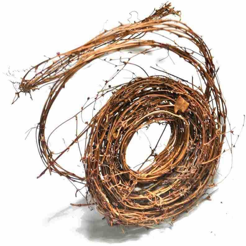Natural Preserved Vine Circle Wreath for Christmas, Wedding & DIY Decor
