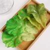 Artificial Lettuce Leaf Model - Realistic Faux Cabbage Prop for Photography and Farmhouse Decoration