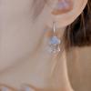Elegant Cloud-Shaped Dangle Drop Earrings with Artificial Crystal Tassels Suitable for Daily And Banquet Occasions A Gift for My Friend