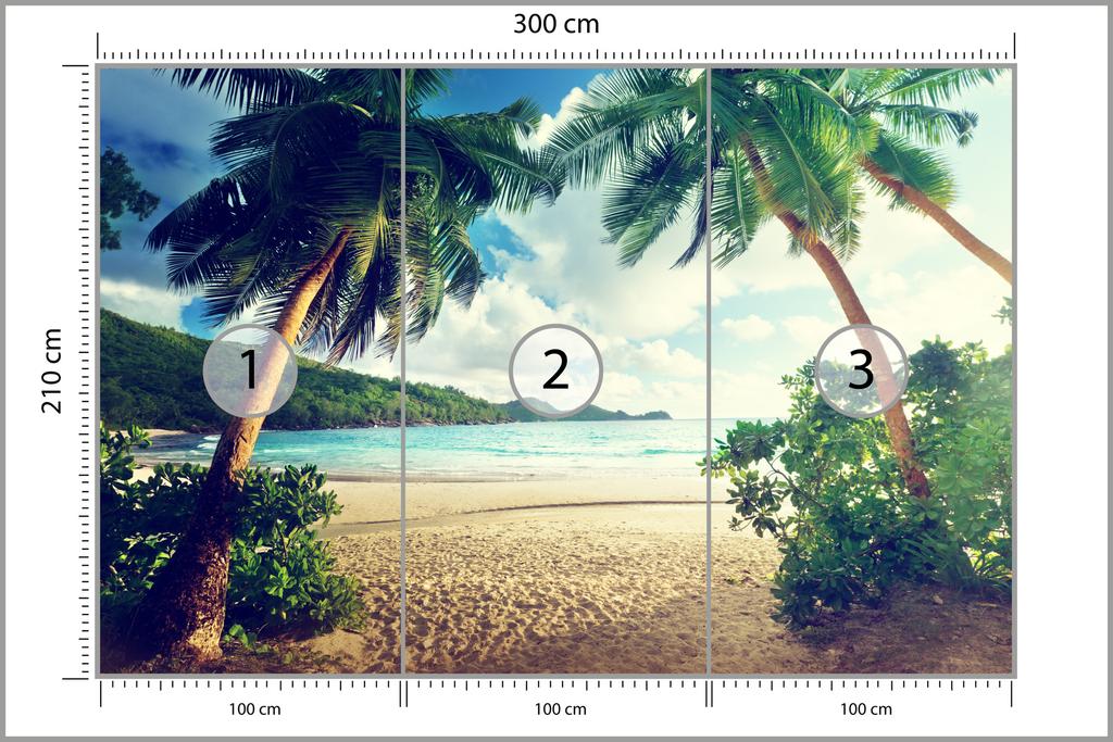Photomural Palm Trees On The Seychelles Non-Woven 300x210