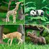 TOYMANY 12-Piece Wildlife Figure Set, Realistic Forest Animal Models, Popular Animal Toys, Birthday Gifts, Decorations, Christmas, New Year's
