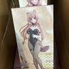 Original Furyu Bicute Bunnies The Rising Of The Shield Hero Raphtaria Pvc Anime Figures Action Figure Model Toys Halloween Gift
