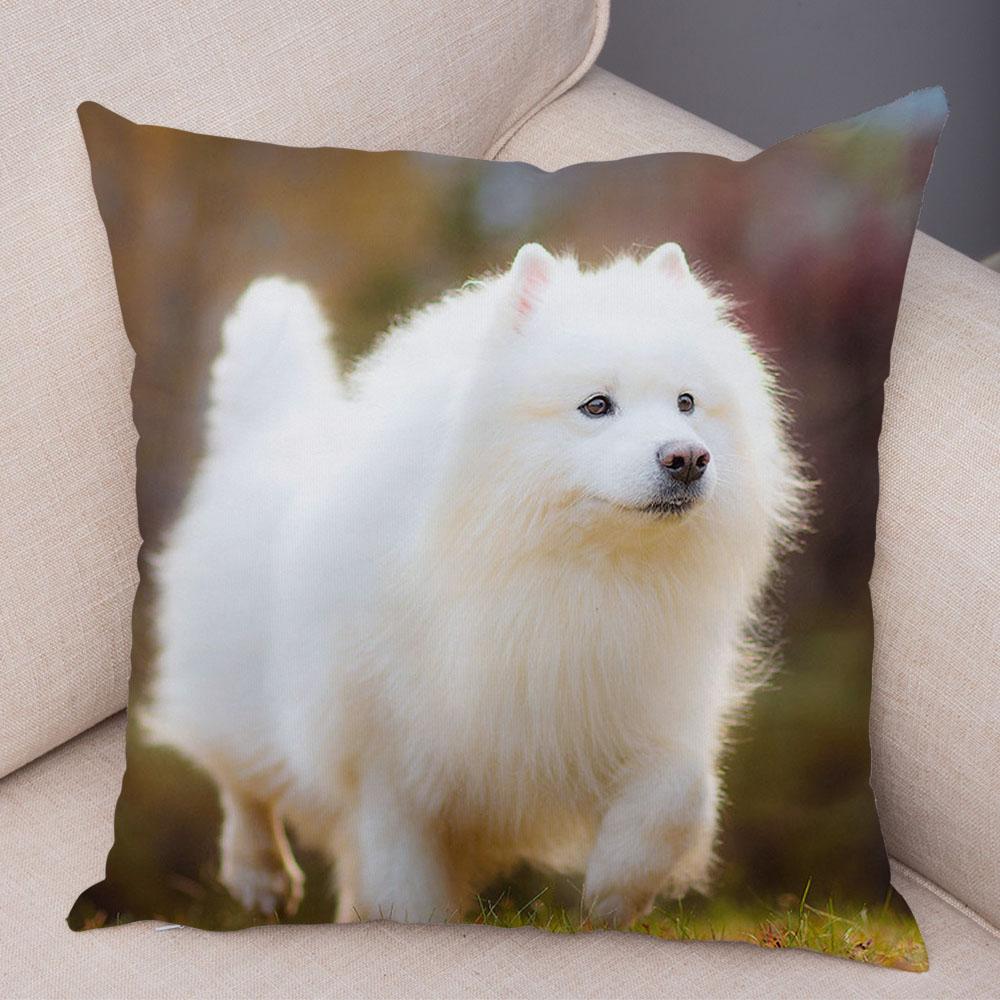 50 Stil Husă de Pernă Câine Alb Drăguț Samoyed Decor Husă de Pernă Animal de Companie Iubitor Husă de Pernă Moale de Pluș pentru Canapé Cameră Copii