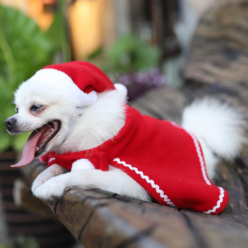 Dog Clothing, Puppy Teddy Dog Cape Hat Red Dress Pet Cap Cape