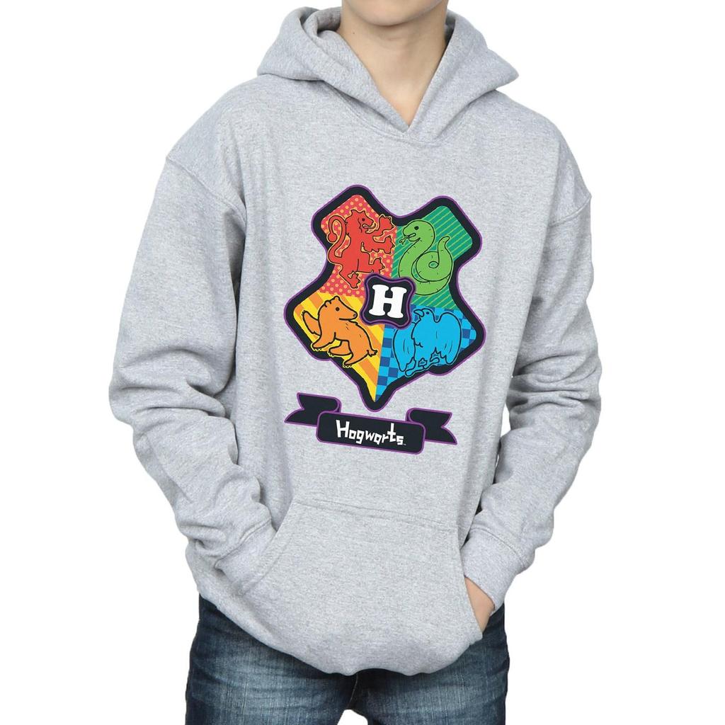 HARRY POTTER Boys Hogwarts Junior Crest Hoodie