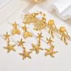 Starfish Stainless Steel Earrings Light Luxury High Sense Retro Simple Jellyfish Exaggerated Earrings Women