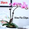 20Pcs Plant Support Clips Garden Clips Flower Orchid Stem Clips Vine Support