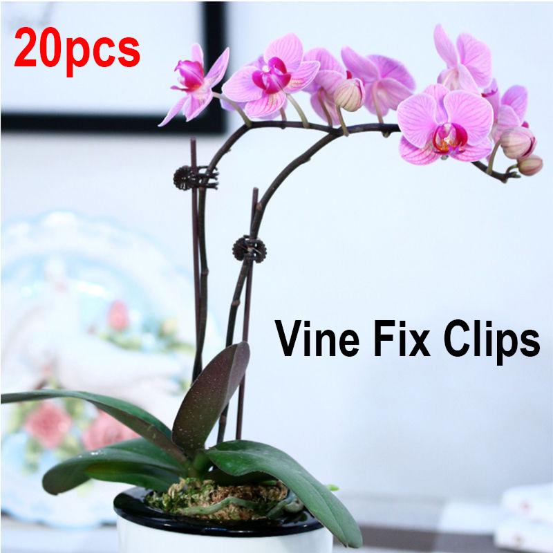 20Pcs Plant Support Clips Garden Clips Flower Orchid Stem Clips Vine Support