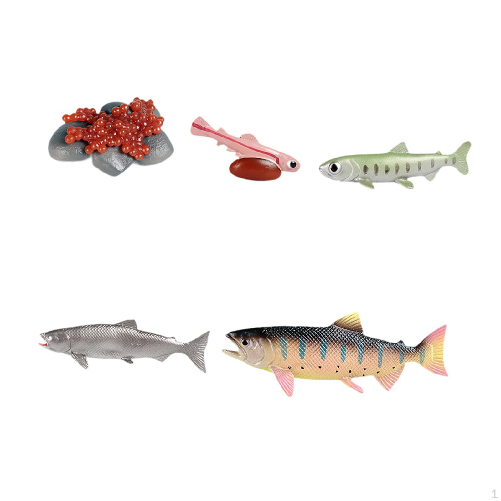 

Обучающий набор игрушек «Жизненный цикл лосося» с реалистичными сельскохозяйственными животными коричневый