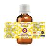 Deve Herbes Carrot Seed Essential Oil (Daucus carota) Pure | Non-Sticky | Non-greasy | Lightweight | Men & Women | All Skin Types | Steam Distill