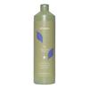 Echosline No Yellow Shampoo 1000