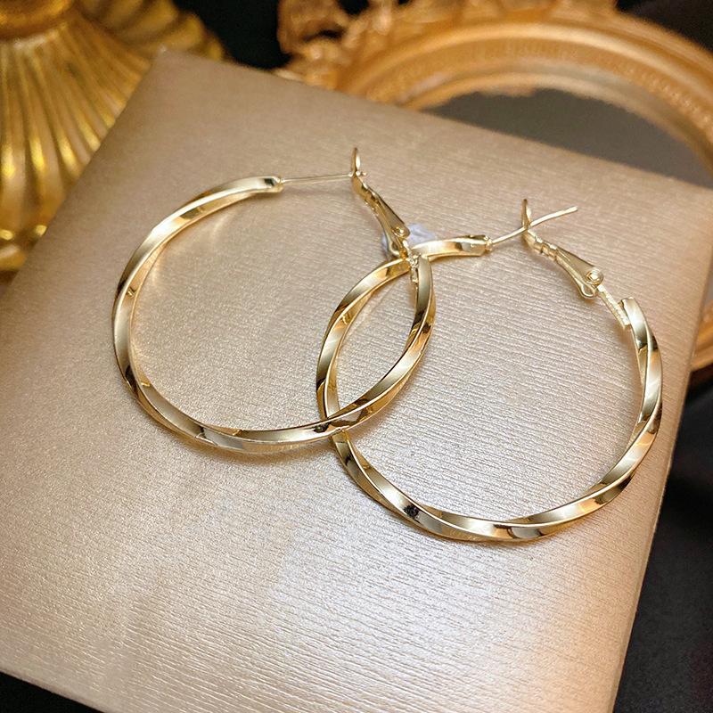 1Pair 925 Silver Needle Retro Metal Earrings Women's Premium Sense Geometric Plain Ring Ear Buckle Versatile Exaggerated Commuter Earrings