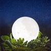 TOOGE Indirect Lighting, Stylish Present, Popular for Women, Moon Light [4th Generation], 3D Print, USB Charging, Touch Dimming, Stepless Dimming,