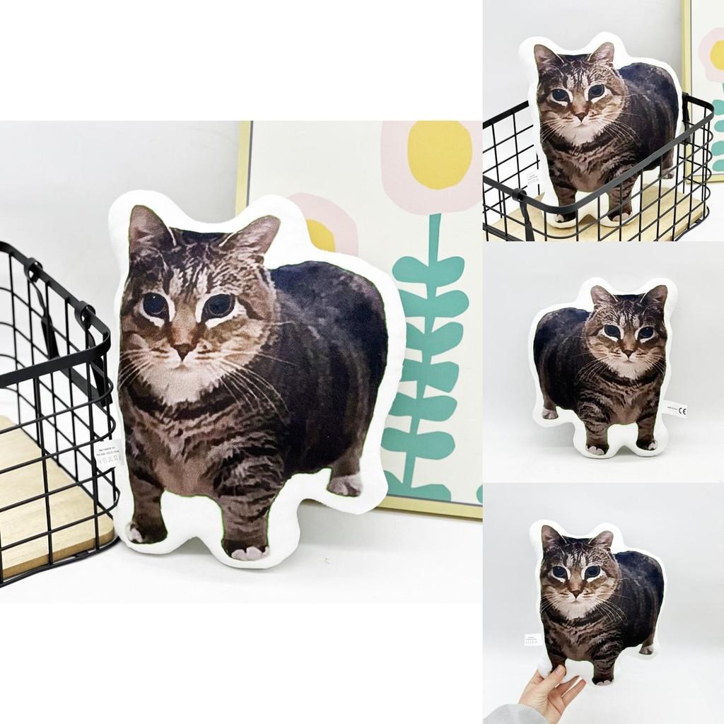 Plüschkatze Tier mit PP-Baumwollfüllung für Kinder und Jugendliche Komfort