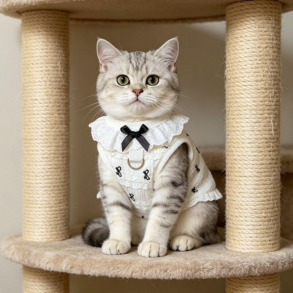 Cute Spring Summer Puppy Lace Vest Bowknot Soft Dog Clothes Casual Breathable Cat Cake Skirt Cat