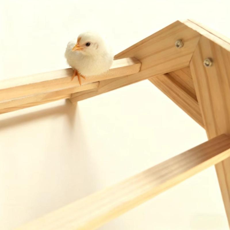 Detachable Wooden Poultry Roosting Ramp With Triangular Design Easy to Clean Chicken Coops