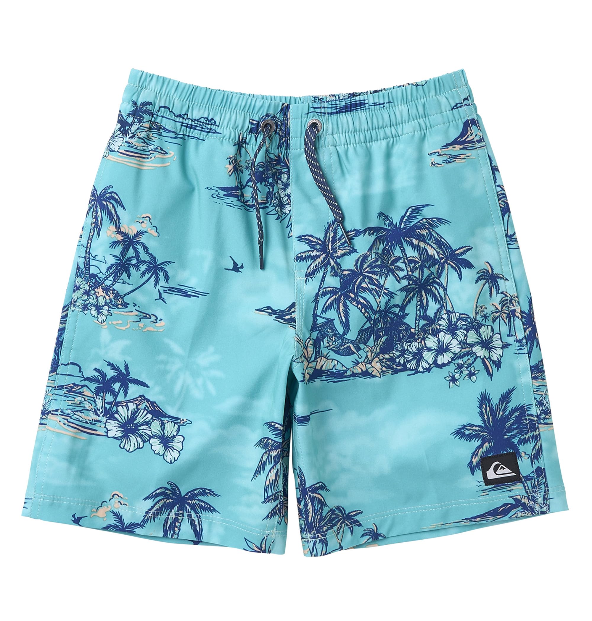 Quiksilver LONGMANHILL VOLLEY YOUTH 16 Boardshorts для мальчиков, Синие