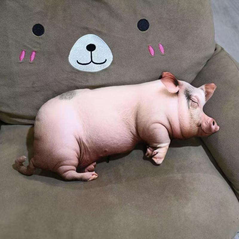 Medium Size Realistic Sleeping Pig Plush Toy Cotton Stuffed Soft Pillow for Home Decor Children Holiday Gift