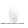 Apple Magic Mouse