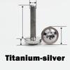 1pcs Truss Torx Head Screw Titanium Ti Bolt M4 M5 M6 M8 Length:10-60mm For Motorcycle,Bicycle Part Modification Fasteners