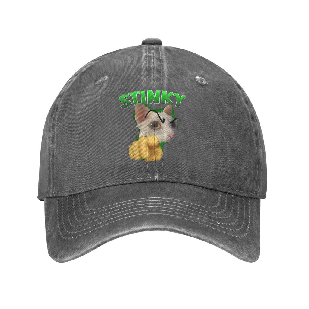 Unisex Stinky Funny Cat Meme Cap Merch Baseball Cap Fashion Trucker Hats Adjustable