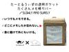 Turtlewith Clear Pocket Memo Pad Cover SLOWLY AND SURELY (Blue) /