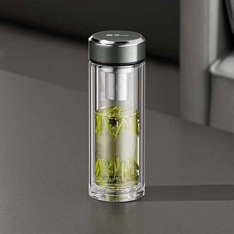 WANXIANG Heat-Resistant Glass Tea Travel Mug with Filter & Leather Lid