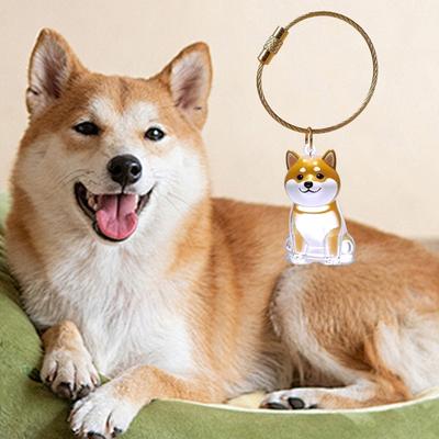 Raccoglitore Peli Animali Portachiavi Scatola Portagioielli Per Cani Gatti E Piccoli Animali Contenitore Per Peli Con Design Facile da Aprire