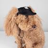 Yousheng Pet Baseball Cap Breathable Adjustable Super Soft Washable Ear Holes Design Dress Up Cloth Outdoor Sports Pet Sunhat Dog Visor Cap Pet