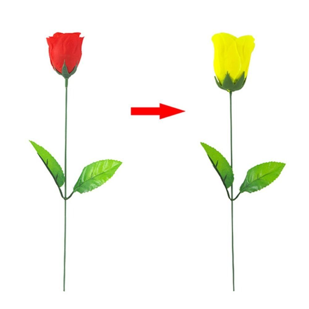 Colorful Rose Discoloration Roses Red Change Yellow Changing Color Rose  Player Magic Props