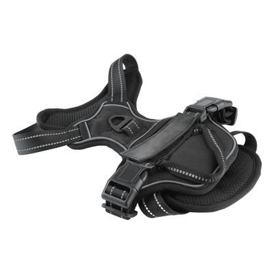 Perros – Collares y correas