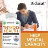 Didacat Thyroid Health Supplement with Iodine & Ashwagandha, 120 Capsules Energy and Metabolism Support