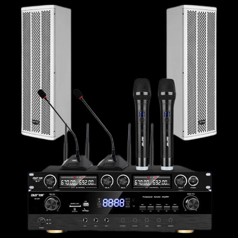 

SAST Professional Conference Audio System with Wireless Microphones (CN version)