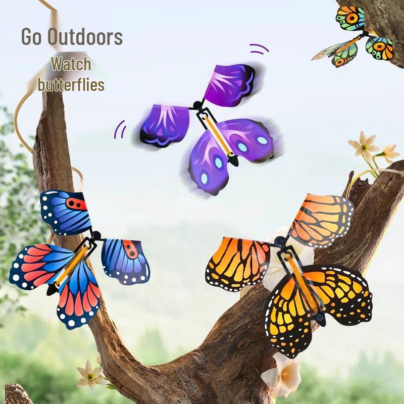 Kinder Outdoor Fliegender Schmetterling & Bambuslibelle Bumerang Spielzeug Geschenkset