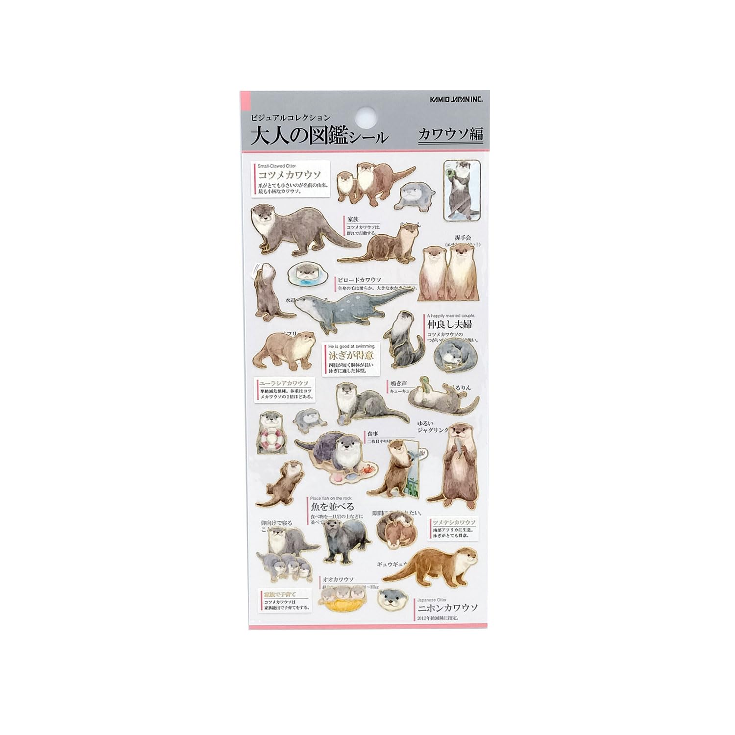 

Kamio Japan Stickers Adult Encyclopedia Sticker Otter 721388