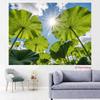 2D Green Lotus Leaves Sky Backdrop, Nature Themed Photography Background Banner