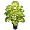 Nordic Style Variegated Monstera: Potted Plant for Home & Garden Decor