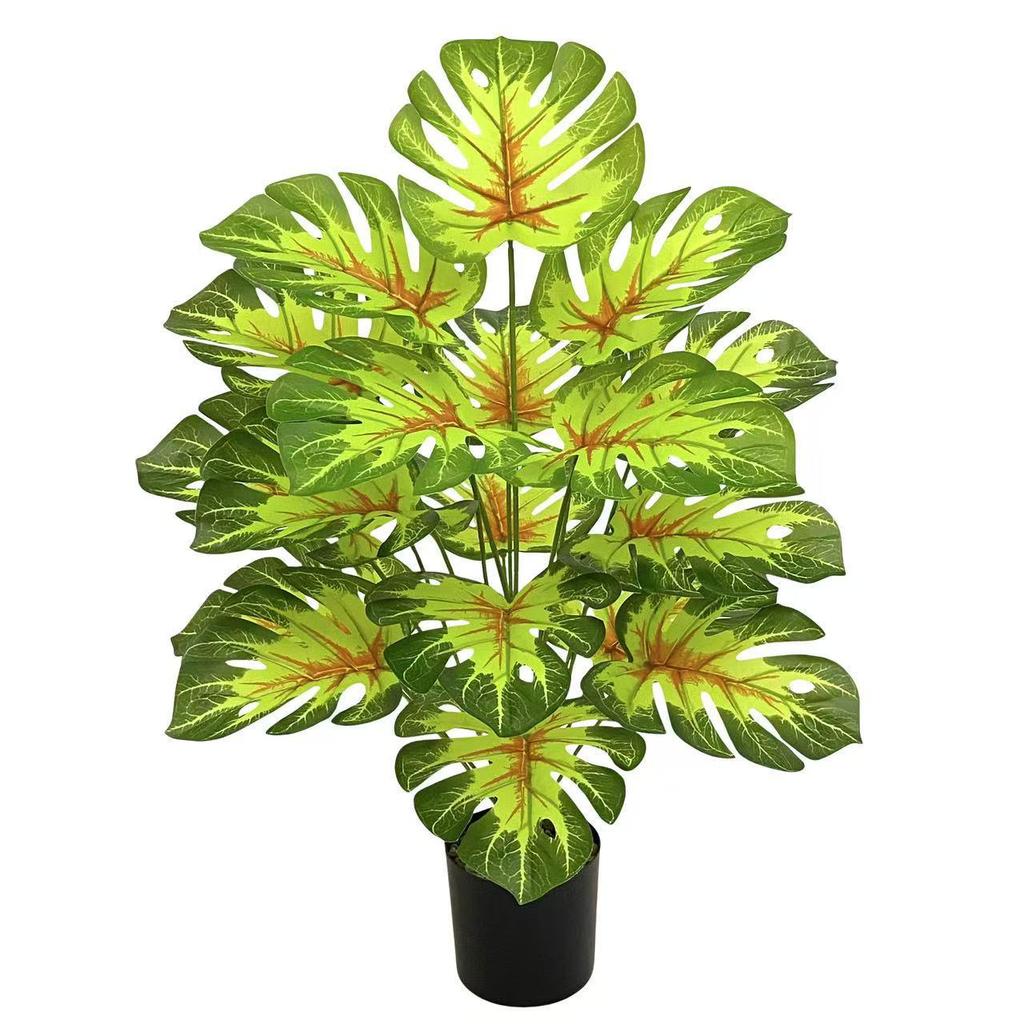 Nordic Style Variegated Monstera: Potted Plant for Home & Garden Decor