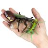 Realistic Kids Toys Praying Mantis Toy Cycle Mantis Figurine Life Cycle Figures Snail Growth Cycle