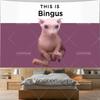 This Is Bingus Meme Tapestry Wall Hanging Kawaii Floppa Cat Tapestries Aesthetic Bedroom Decoration Animals Tapestries Macrame