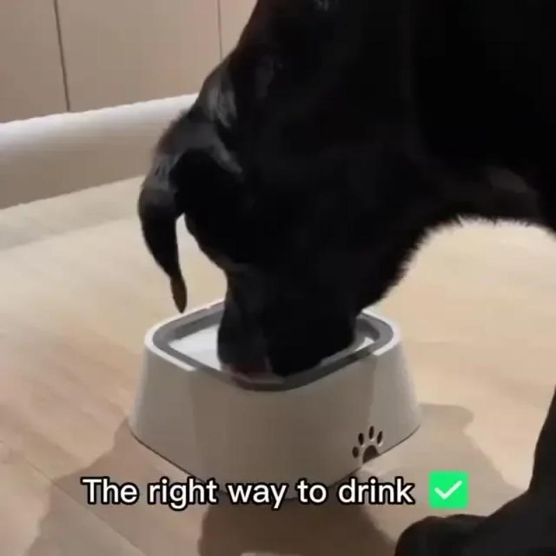 Hundenapf Hundenäpfe Langsamer Wassernapf Auslaufsicherer Futternapf für Haustiere Langsamer Futterspender Trinkwassserspender Hundezubehör